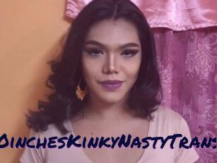 10inchesKinkyNastyTrans
