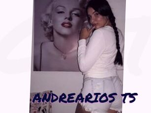ANDREARIOS_TS