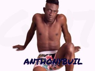 ANTHONYBUIL