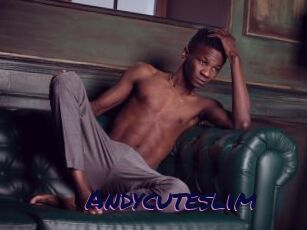 Andycuteslim