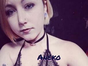 Aneko