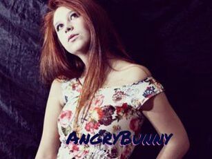 AngryBunny