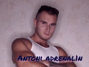Antoni_adrenal1n