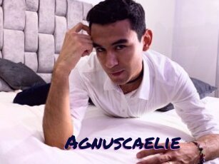 Agnuscaelie