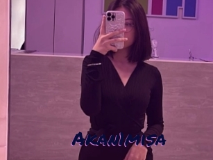 Akan1misa