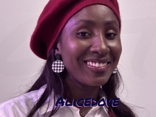 Alicedove
