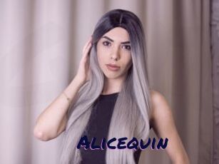 Alicequin
