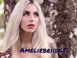 Ameliebriidge