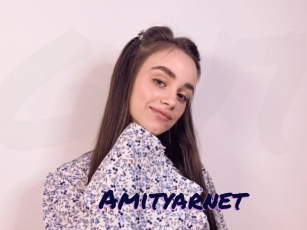 Amityarnet