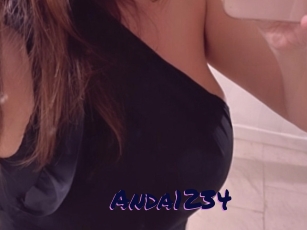 Anda1234