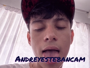 Andreyestebancam