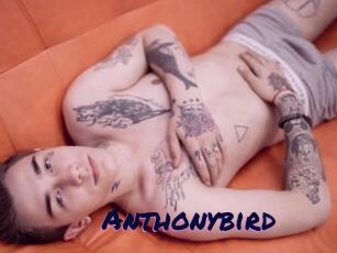 Anthonybird
