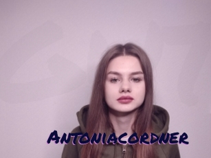Antoniacordner