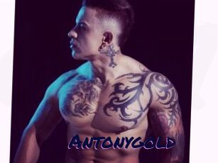 Antonygold
