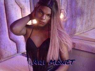 Ari_monet