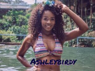 Ashleybirdy