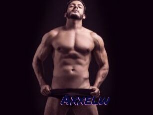 Axxelw