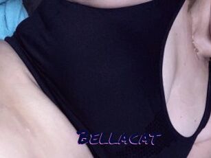 Bella_cat