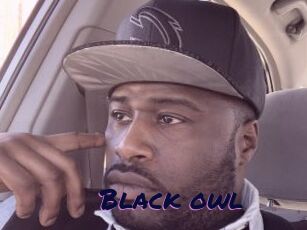Black_owl