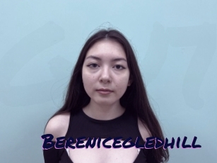 Berenicegledhill