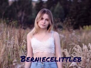Berniecelittleb