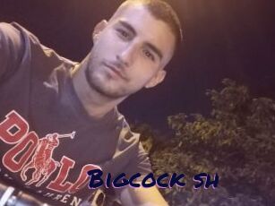 Bigcock_sh