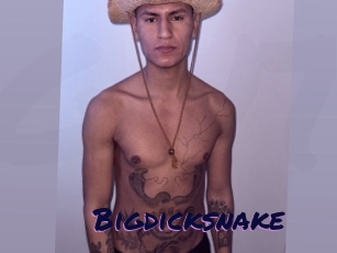 Bigdicksnake