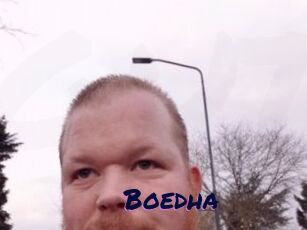 Boedha