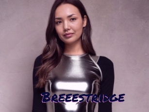 Breeestridge