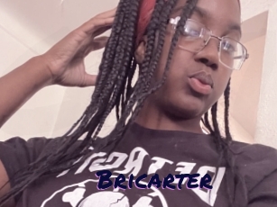 Bricarter