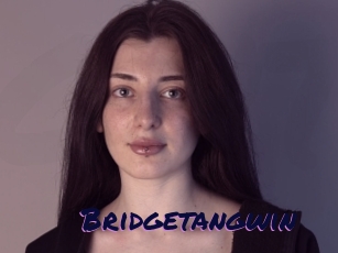 Bridgetangwin