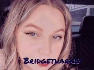 Bridgetharkey