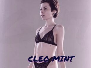 CLEO_MINT