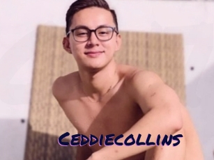 Ceddiecollins