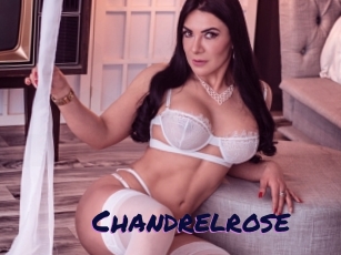 Chandrelrose