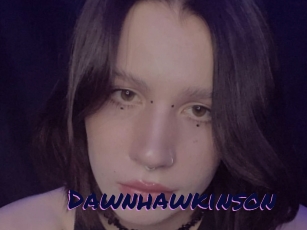 Dawnhawkinson
