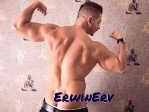 ErwinErv
