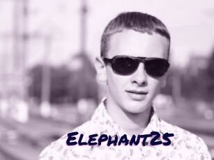 Elephant25