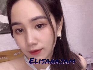 Elisanajam