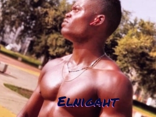 Elnigaht
