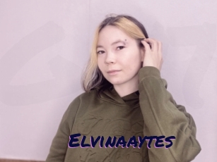 Elvinaaytes