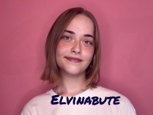 Elvinabute