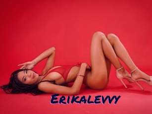 Erikalevvy