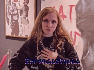 Esmagledhill