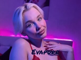 Evapurr