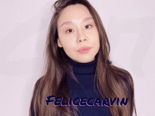 Felicecarvin
