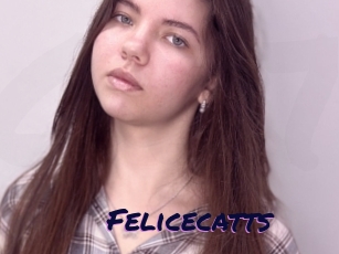 Felicecatts