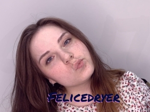 Felicedryer