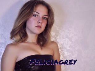 Feliciagrey