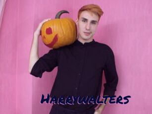 Harrywalters